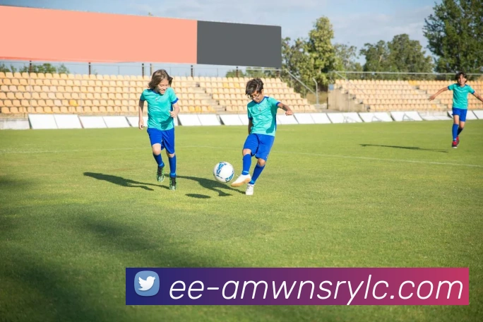 威尼斯人线上娱乐平台生态图